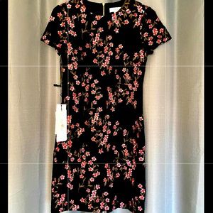 Calvin Klein  velvet black embroidered cocktail  dress